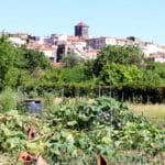 Un potager de la zone des jardins avec le vieux Beaumont en arrière plan