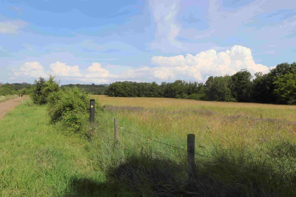 Les prairies du champ captant