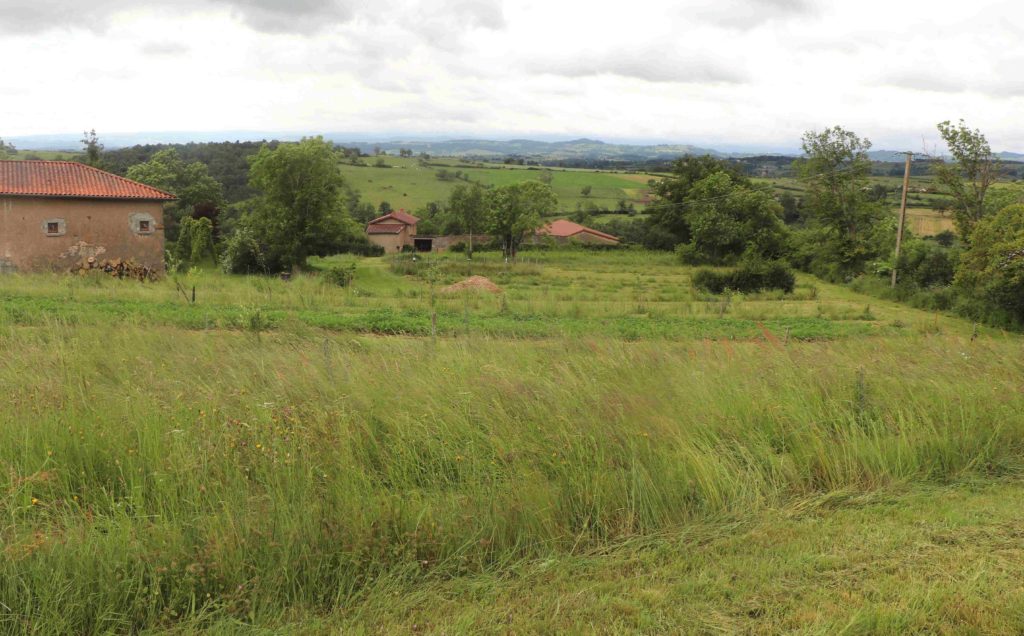 Le domaine de Rémi Pilon en plan général