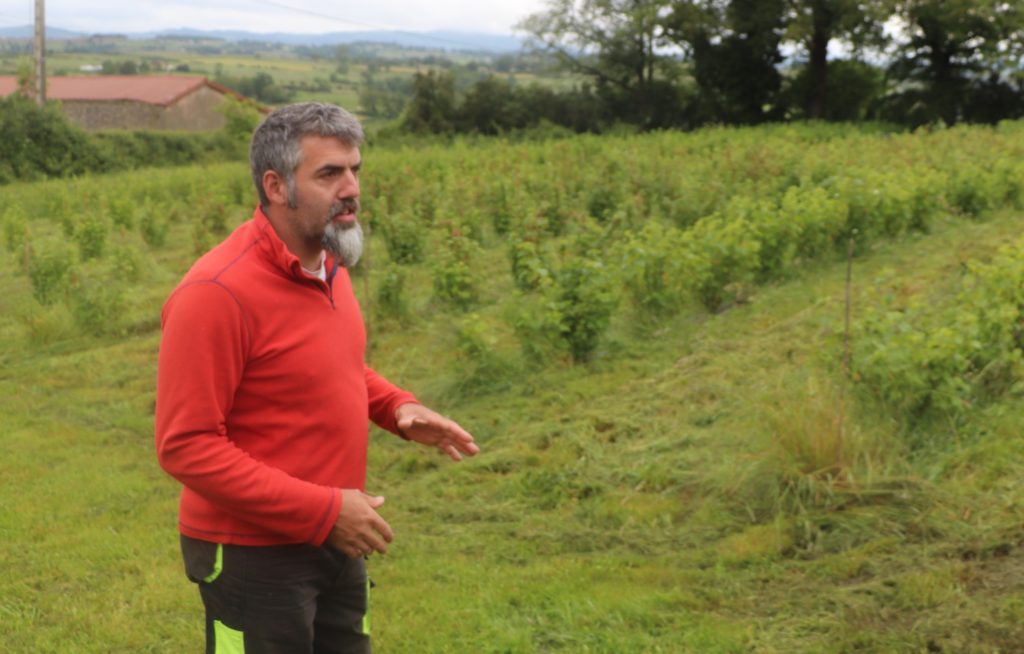 Rémi Pilon devant la parcelle de fruits rouges