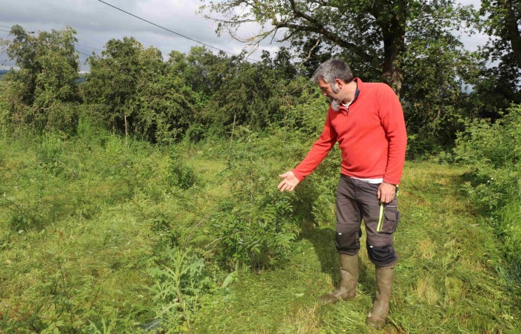 Rémi Pilon devant les plantations de poivre de Sichuan