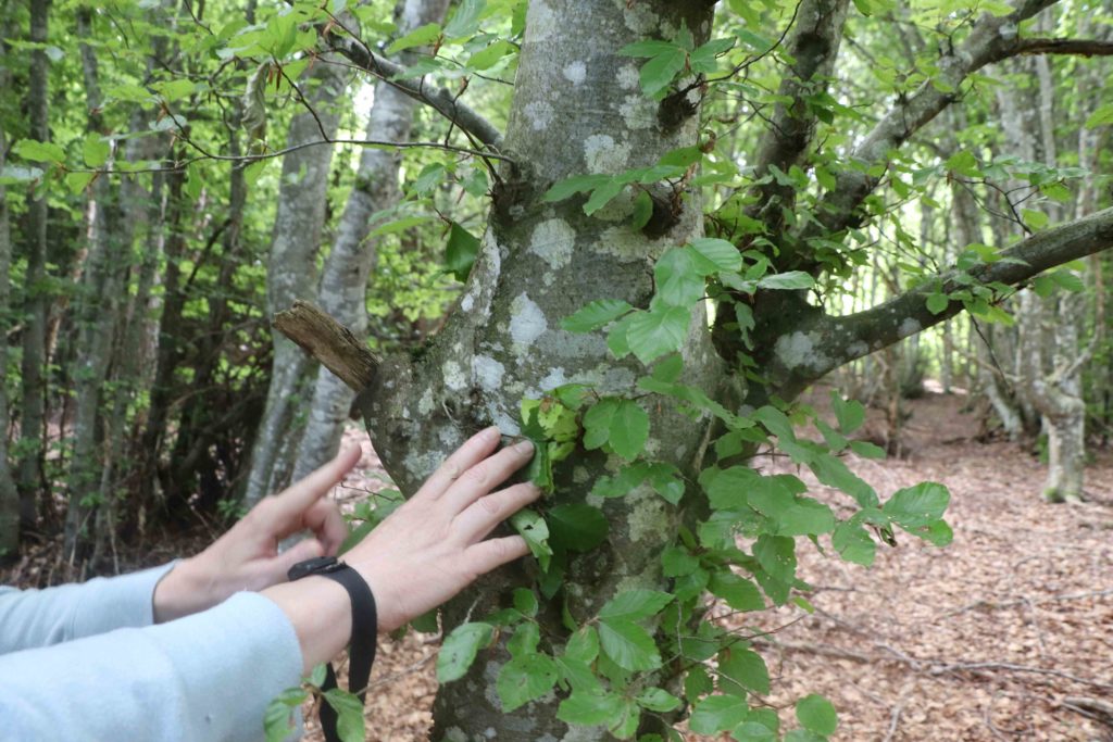 Les mains de Catherine, posées sur un tronc couvert de petites branches