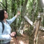 Catherine Lenne face à un arbre tordu dont elle raconte l'histoire d'après les noeuds et coudes de son tronc.