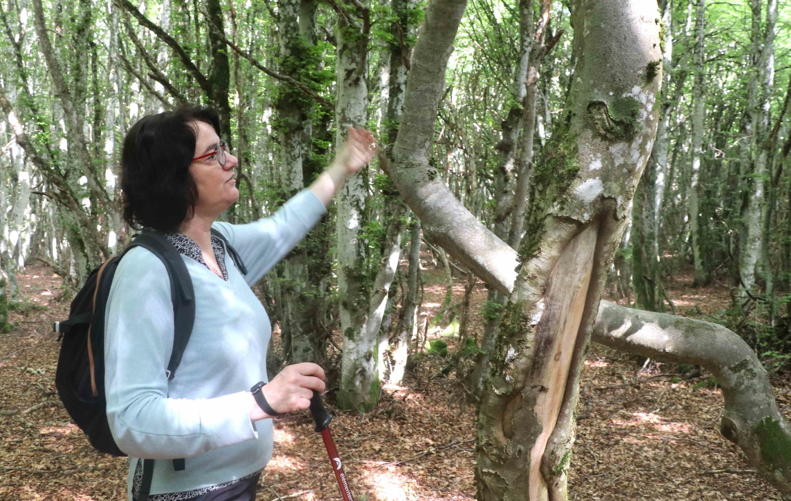 Catherine Lenne face à un arbre tordu dont elle raconte l'histoire d'après les noeuds et coudes de son tronc.