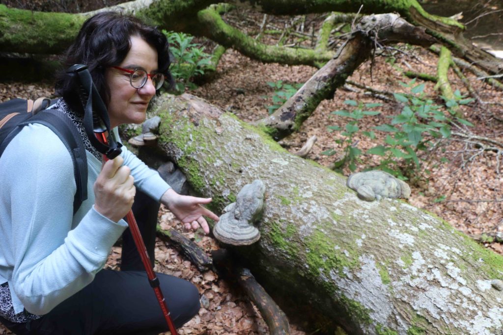 Catherine Lenne face à un arbre mort couvert de champignons