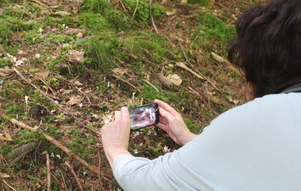 Catherine Lenne prend en photo de tout petits champignons