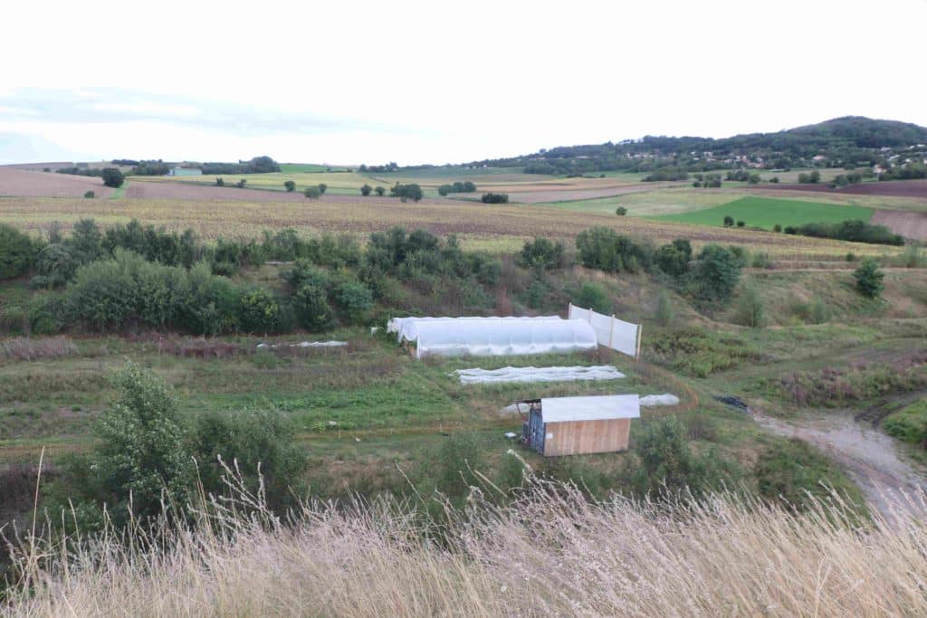 La zone maraîchère de l'Ecopôle