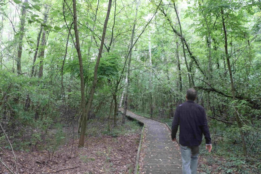 Un sentier sur ponon aménagé dans la forêt alluviale dense de l'Ecopôle.