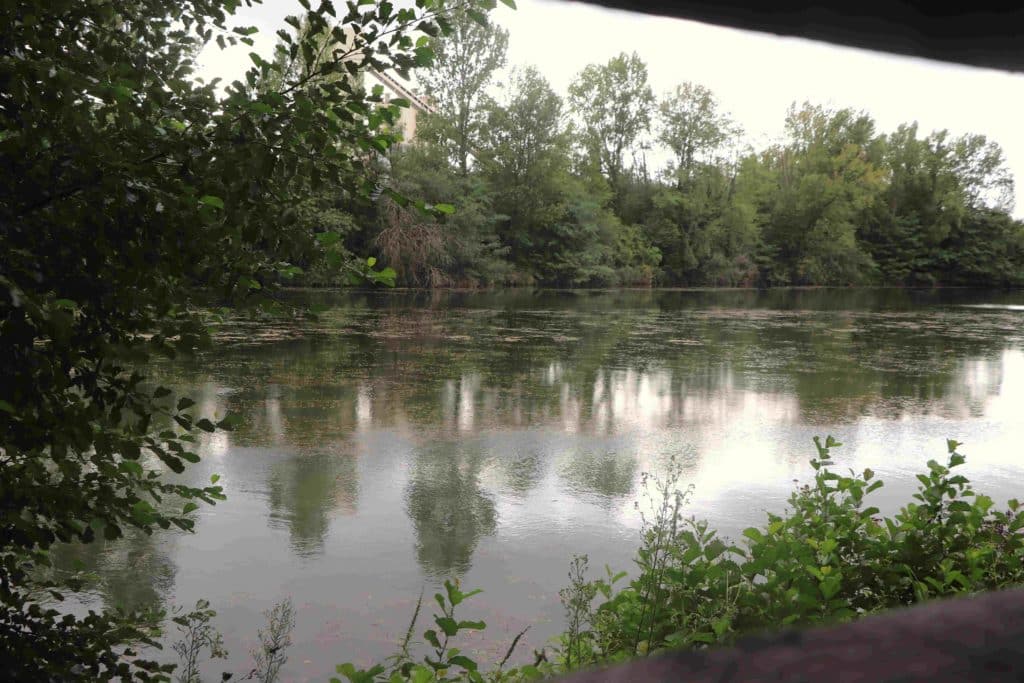 Le paysage aquatique de l'écopôle, vu d'un observatoire