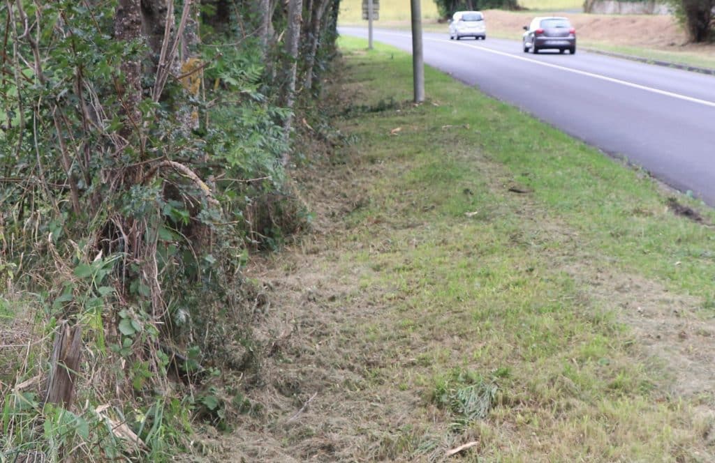 Un bord de route boisé après le passage de l'épareuse