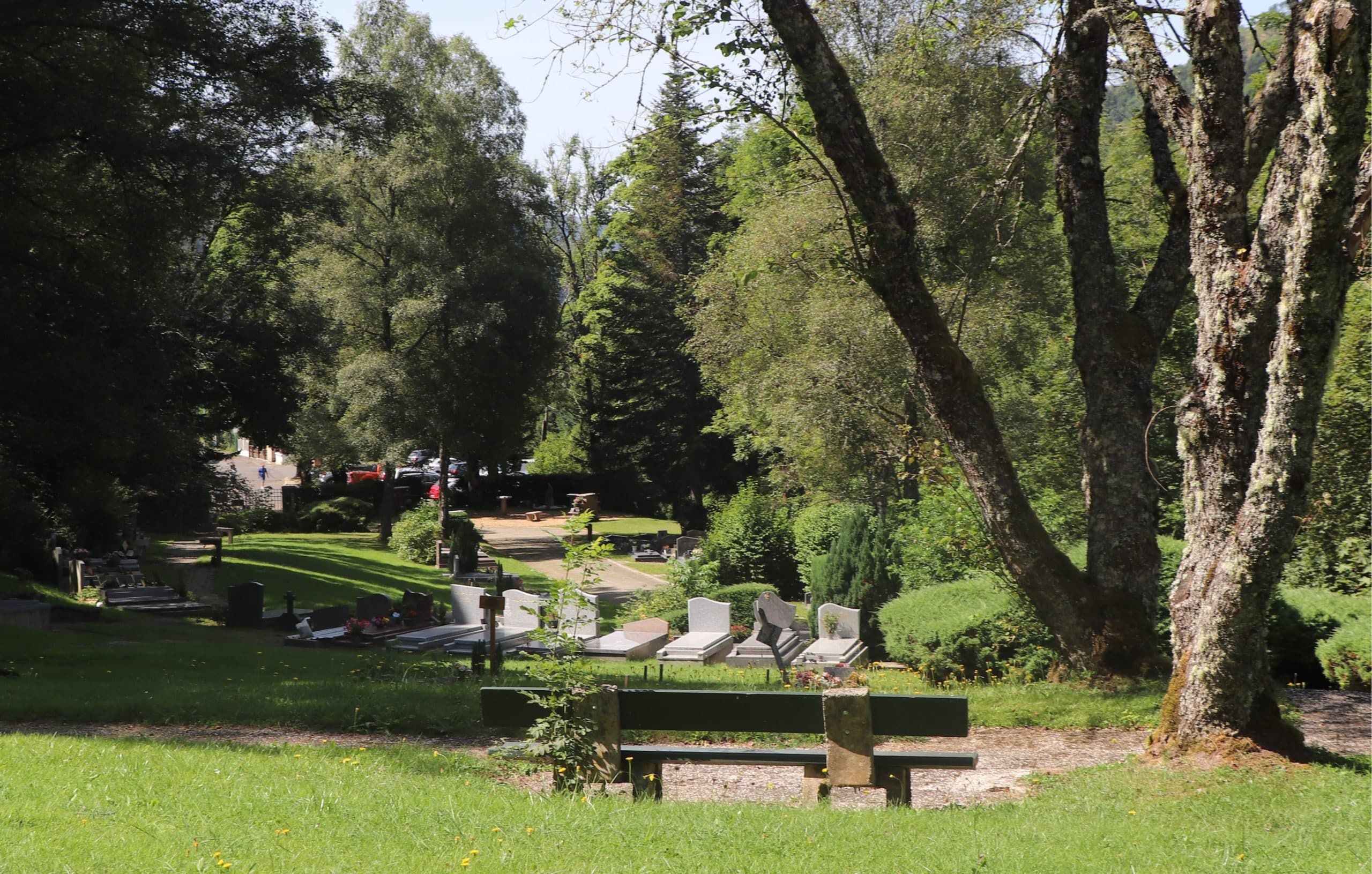 Vue du cimetière paysager du Mont-Dore avec un banc et un arbre au premier plan