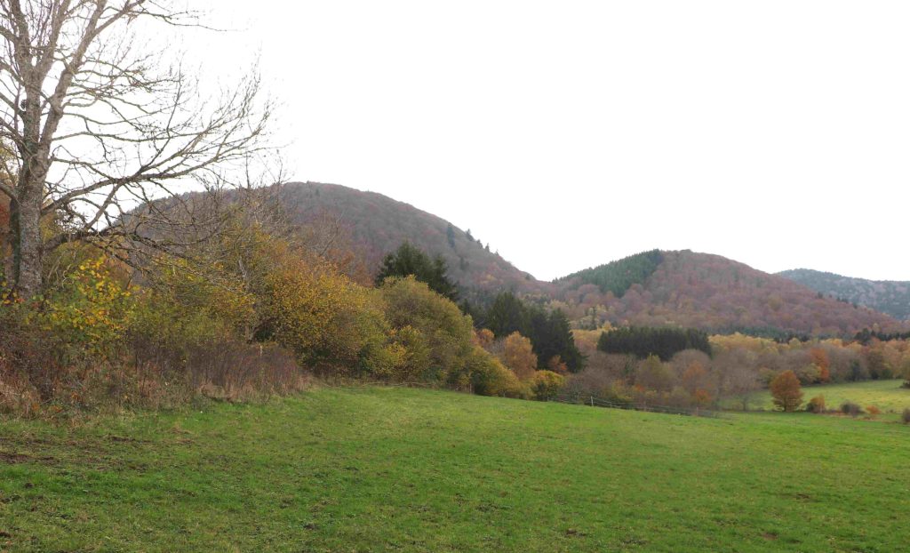 Vue de plusieurs volcans, dont le Grand Sarcouy