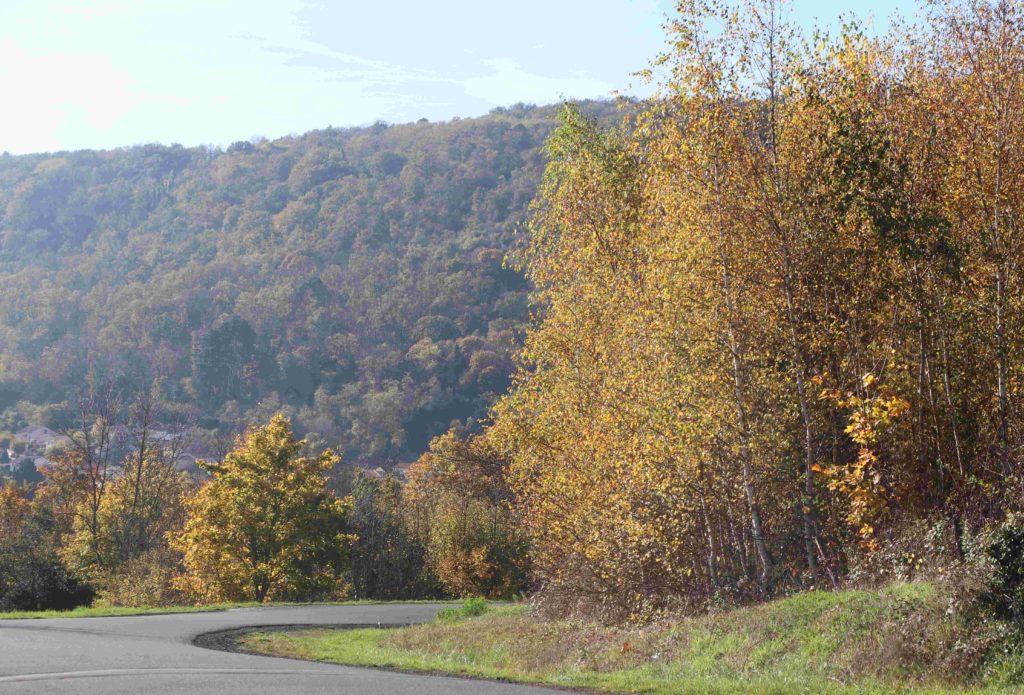 La faille de Limagne apparaît comme un mur au détour d'une route