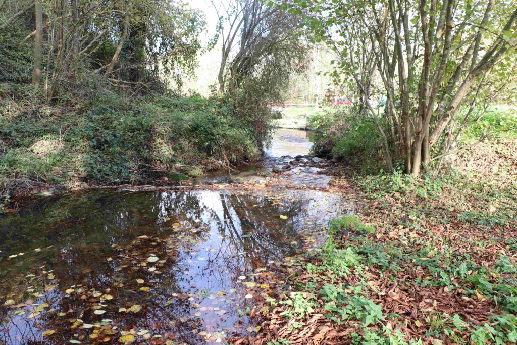 Ruisseau arrivant dans le parc