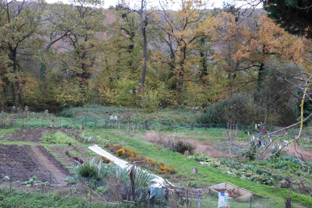 Jardins le long de la rivière