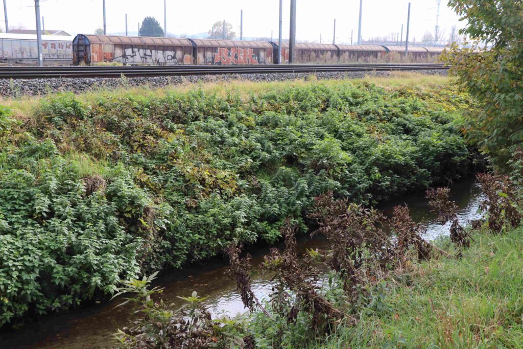 Derrière le ruisseau, des alignements de trains