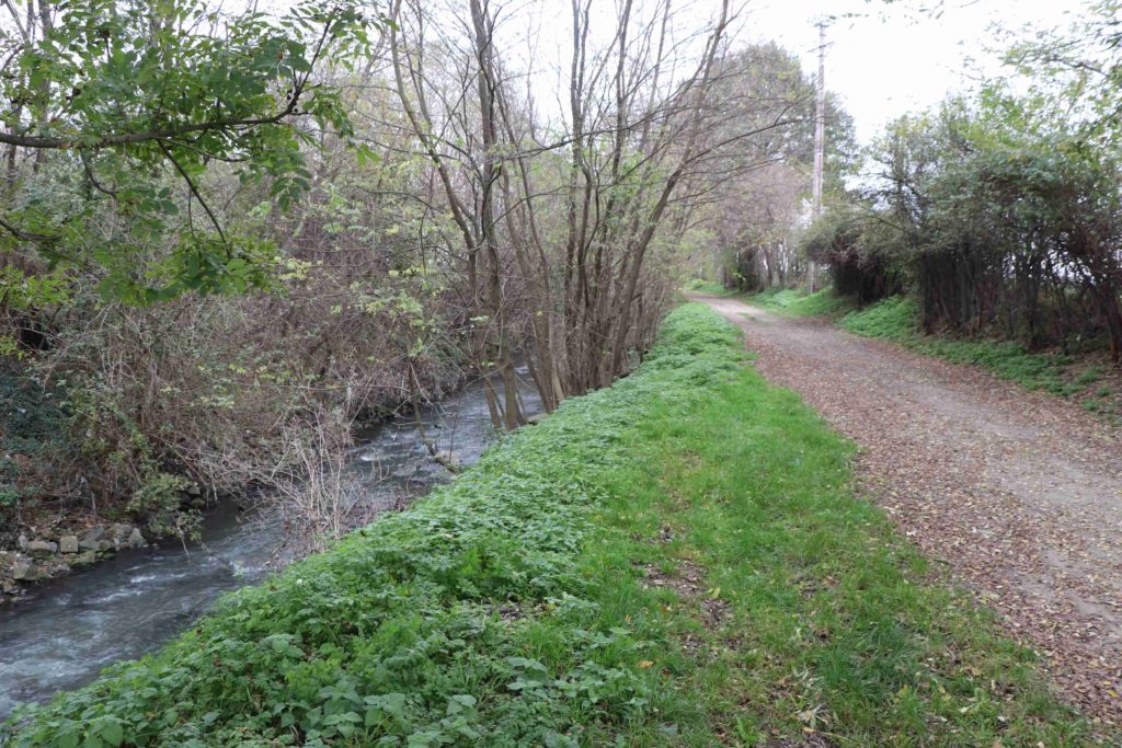 Chemin le long de la rivière