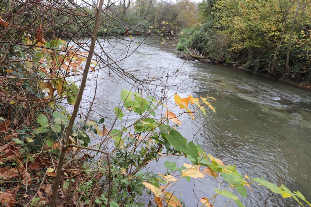 Confluence des deux rivières