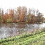 Vue d'ensemble du plan d'eau avec au fond les arbres aux couleurs de l'automne