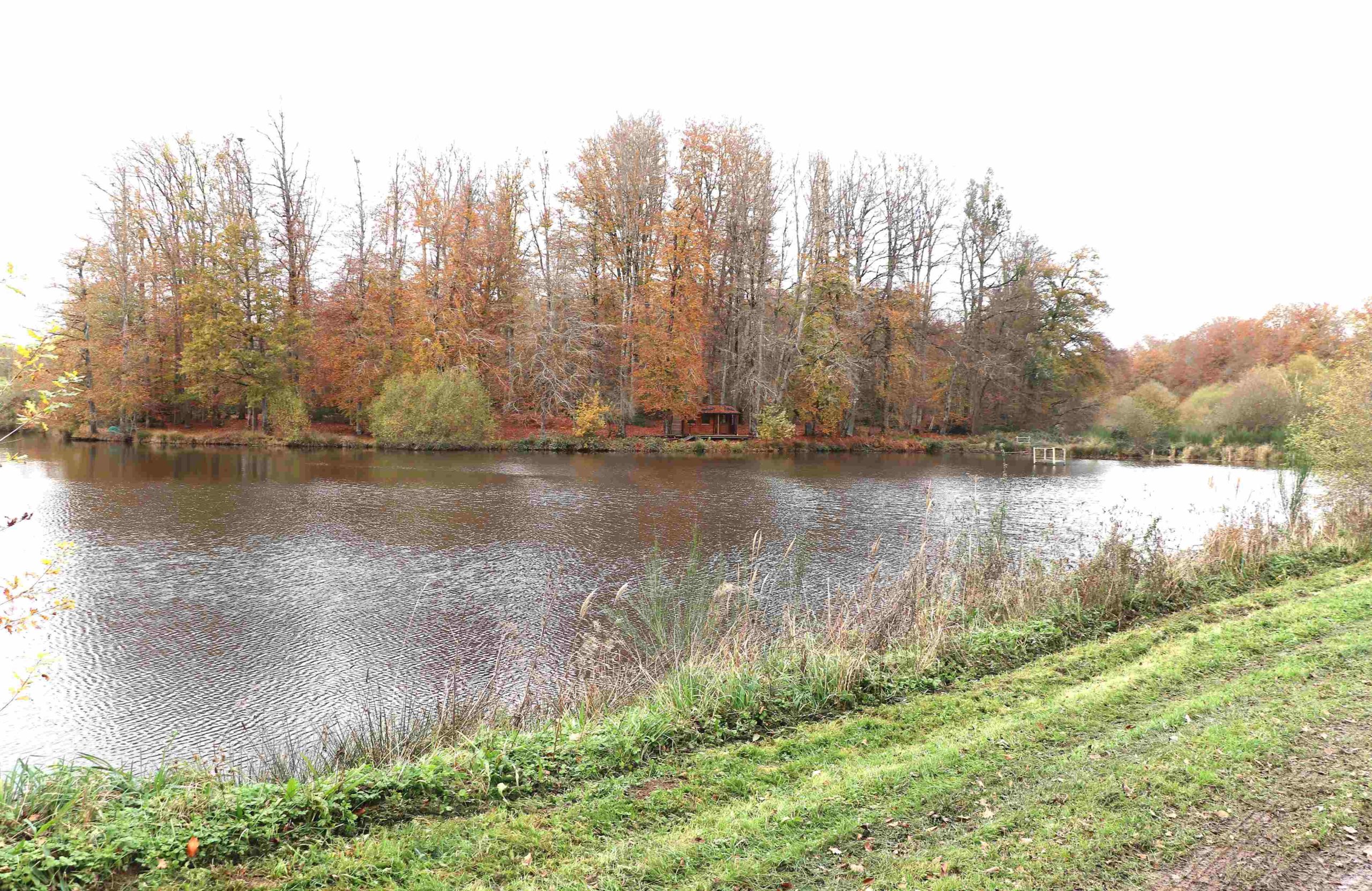 Vue d'ensemble du plan d'eau avec au fond les arbres aux couleurs de l'automne