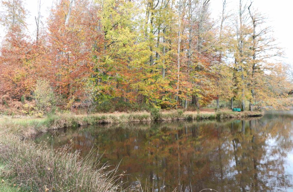 Une autre vue du plan d'eau