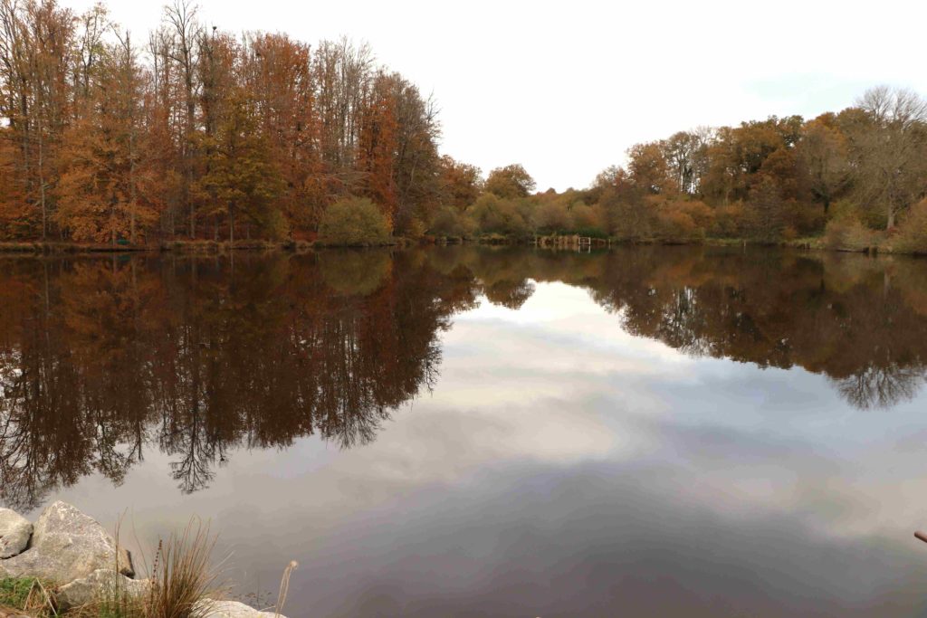 Vue du plan d'eau avec les arbres qui s'y reflètent