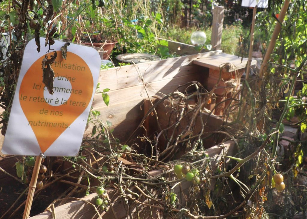 Bac de culture de tomates avec un panneau indiquant "utilisation d'urine. Ici commence le retour à la terre de nos nutriments"