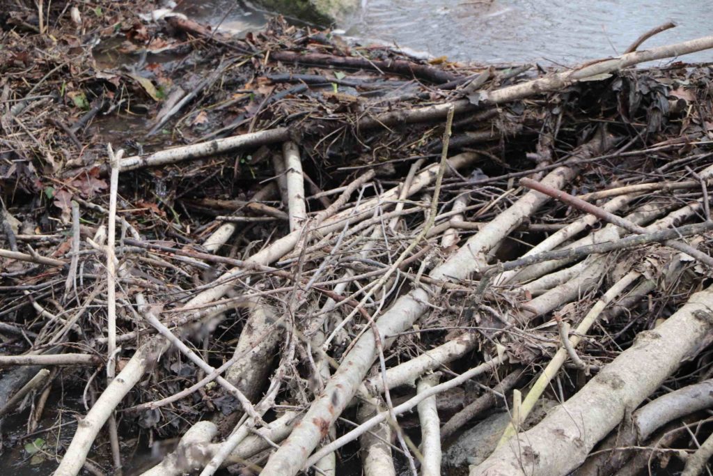 Gros plan sur l'ouvrage, amoncellement de branches et de terre