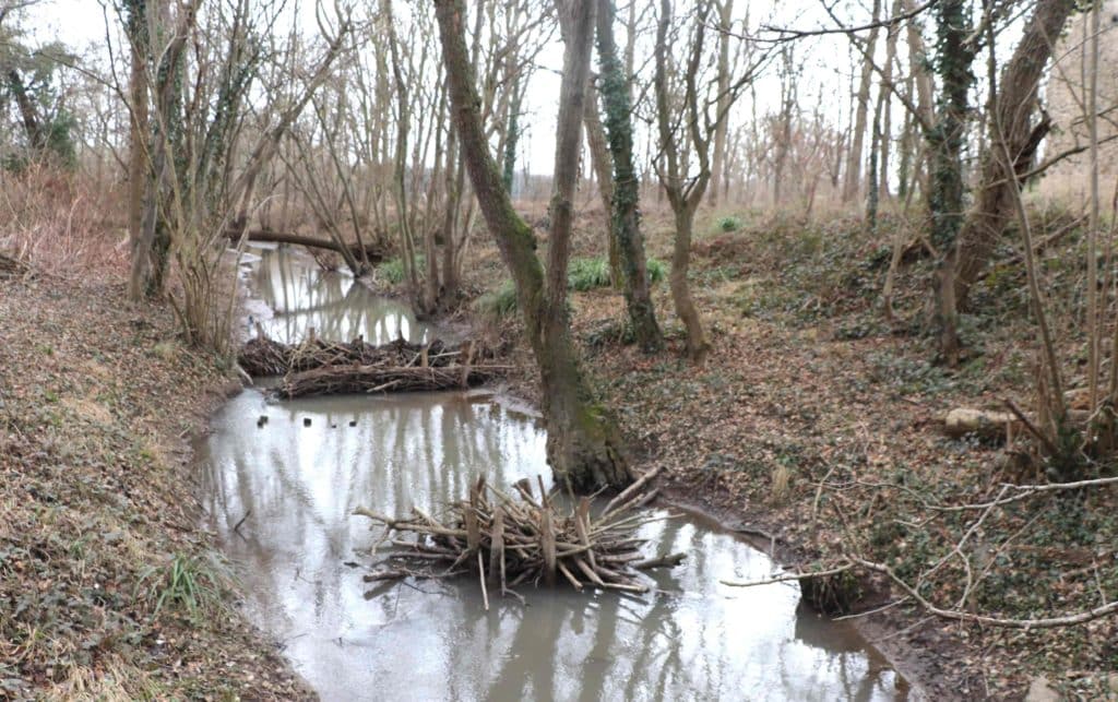 Vue de la rivière avec le hérisson de pieux et branchages au milieu