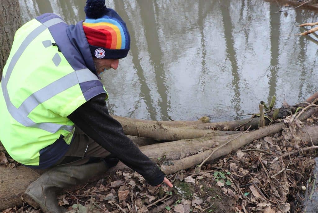 Aurélien montre les traces du repas d'une loutre sur un des barrages