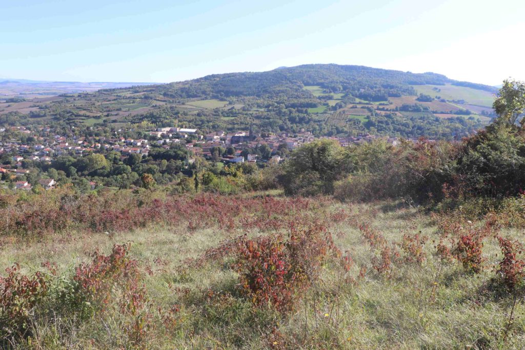 Terrains en friche dominant le village de Saint-Amant-Tallende